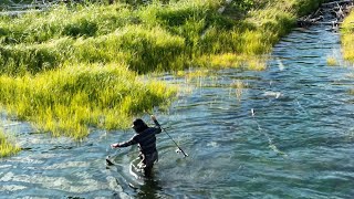 Yakutat Alaska Fishing trip [upl. by Hedelman]