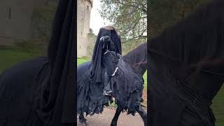 I Found The Headless Horseman From Roblox [upl. by Asena]