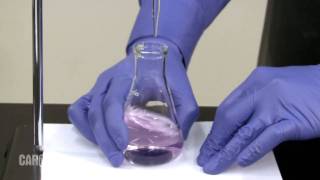 Setting up and Performing a Titration [upl. by Oetam]