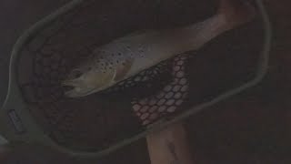 BFC Big Fishing Creek PA Summer FlyFishing [upl. by Blakelee]