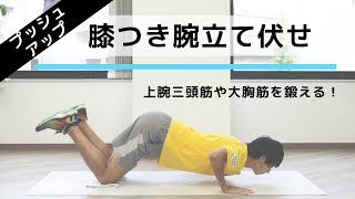 筋トレ初心者にオススメ「膝つき腕立て伏せ」の正しいやり方【10回×3セット】 [upl. by Aisatan]