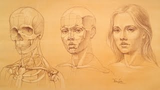 Figure Drawing Lesson 48  How To Draw The Human Figure In Perspective [upl. by Eicarg63]