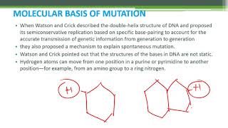 GENE MUTATIONS  MOLECULAR BASIS OF GENE MUTATION PARTI [upl. by Lachman]