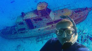 Best Snorkeling In Aruba 2024 Update  Mangel Halto Walking Tour  Kappel Shipwreck [upl. by Yllor]