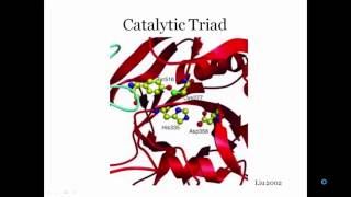 Transglutaminase [upl. by Wandie]