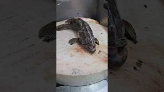 Amazing Black Giant Whole Grouper Fish Clening Skillsshorts 😱 [upl. by Veejar]