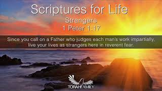 Scriptures for Life  Strangers [upl. by Brozak]