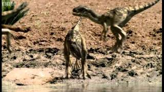 Infant Allosauruses  Walking with Dinosaurs Ballad of Big Al  BBC [upl. by Ahsinyt797]