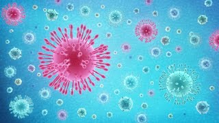 What Is Coronavirus COVID19 [upl. by Edas]