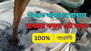 গাছের মাটিতে এই ম্যাজিক তরল ব্যবহারে গাছ হবে সুস্থ ও সুন্দর।ভিডিওটা অবশ্যই দেখুন। [upl. by Pero]