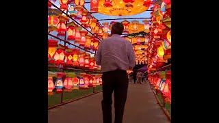 All new Lantern Experience illuminates Bostons Franklin Park Zoo [upl. by Oinafipe958]