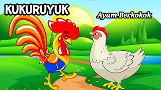 Kukuruyuk  Ayam Ketawa  Lagu Ayam Berkokok [upl. by Daniela170]