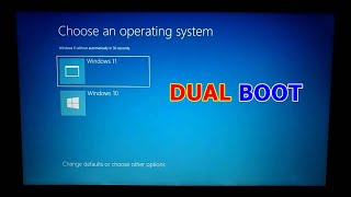 How to Dual Boot Windows 11 and Windows 10 Using EasyBCD [upl. by Bixby507]