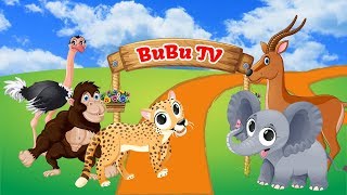 Lernen Sie Zootiere für Kinder  Tiergeräusche und lieblingsnahrung von Tieren  Englische video [upl. by Jehiah]