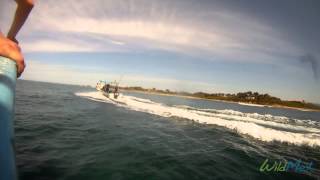 Punta Mita Intermediate Surf Trip and Lessons with WildMex Surf and Adventure [upl. by Boys]