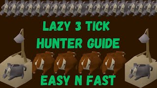 UPDATED EASY 3 TICK HUNTER GUIDE for lazy people [upl. by Sirroned]