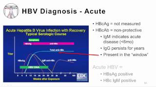 Viral Hepatitis B and D [upl. by Fai143]