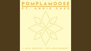 I Will Survive  This Love Mashup [upl. by Ahseyt]