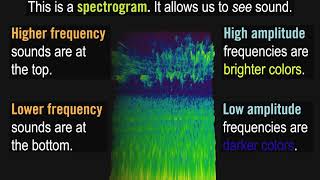 What is a Spectrogram [upl. by Eellehs]