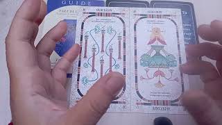 MESSAGE DE VOS GUIDES 🌈🪷🌬️🩷🩷🩷 canalisationspirituelle tarotreading revepremonitoire premonition [upl. by Nessy518]