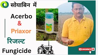 सोयाबीन नई वेरायटी Acerbo amp Priaxor Fungicide रिजल्ट में दाने में अंतर किसान पवाँर जी Acerbo [upl. by Saxen]