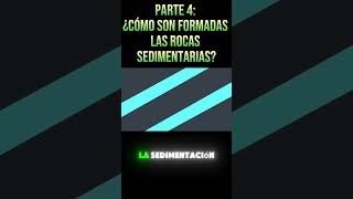 PARTE 4 ¡Descubre el Misterio de las Rocas Sedimentarias 🌍🪨 educacionsteam rocassedimentarias [upl. by Fernyak]