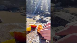 Making fruit tea asmr mountains traveling tea november cozymeal fruittea asmr kyrgyzstan [upl. by Idnas]