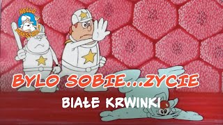 Bylo Sobie Zycie 🌱  Białe krwinki 🧘 [upl. by Cousin907]