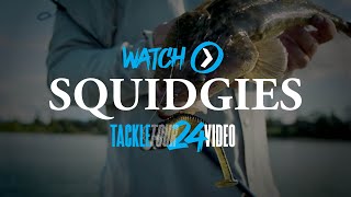 SHIMANO TACKLE TOUR 2024 Squidgies Ridge Shad [upl. by Leribag]