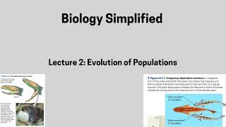 Lecture 2 Evolution of Populations [upl. by Silrac57]