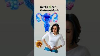 Endometriosis Natural Strategies for Pain Relief endometriosis womenhealth uterus [upl. by Acirretal397]