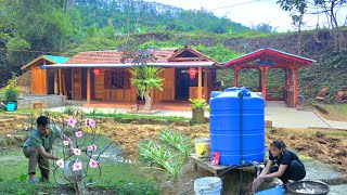 Peach blossoms in full bloom Gifts from nature Molasses boiled cassava Ask about NHATs health [upl. by Lednam851]