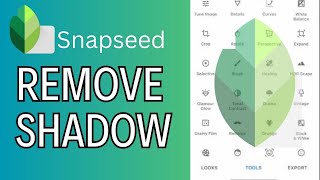 How to Remove Shadow in SnapSeed 2024 [upl. by Tepper]