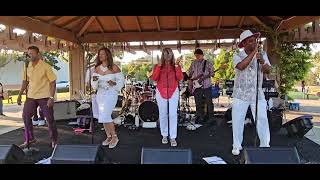 Uptown Funk covered by Pride amp Joy  Brisbanes Concerts in the Park 7122024 [upl. by Yslehc886]