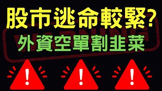 股市逃命要緊 外資空單割韭菜美債鴻海台積電三大法人台幣美元存股股票，102924【宏爺講股】 [upl. by Walcoff]