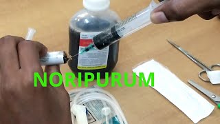 NORIPURUM PARA ANEMIA Myyearonyoutubecanalsaudavelmentesandoval [upl. by Micki]