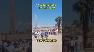 Discover The Sacred Lake in Luxor Egypt – Hidden Gem shorts TheSacredLakeLuxo [upl. by Dupre]