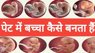 1 to 9 Month Of Baby Growth During PregnancyFetal development week by week in Hindi। [upl. by Darius]