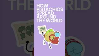 How Pistachios Spread Around the World foodfacts [upl. by Nnylatsyrc938]