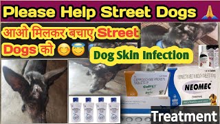 dog skin allergy treatment  mange in dogs  skin problems in dogs  dog skin problem treatment [upl. by Gahan]