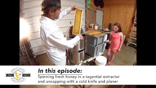 Removing fresh honey🍯 from the frame w a Tangential Extractor part 3 of Honey Extraction series [upl. by Rotciv]