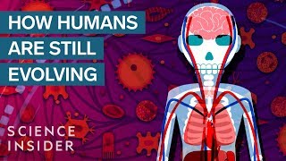 3 Surprising Ways Humans Are Still Evolving [upl. by Suzi]