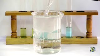 Food Tests  Iodine Biuret Benedicts Ethanol DCPIP [upl. by Jeaz]