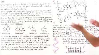 Introduction to DNA [upl. by Couture2]