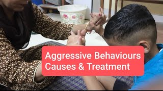 Hyperactivity Aggressive Behaviours in Adhd  Cause and Treatment [upl. by Enovad]