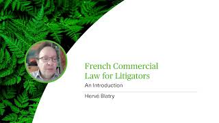 French Commercial Law for Litigators  An Introduction  Webinar [upl. by Larimer]