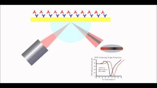 Surface Plasmon Resonance Explained [upl. by Anialem]