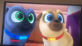 Puppy Dog Pals Hissy Is Sleepy Ending 🐱😴💤 [upl. by Anahsat408]