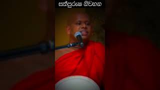 ඔබත් මෙහෙම පතනව ද   welimada saddaseela thero [upl. by Hertha]