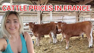 CATTLE PRICES IN FRANCE [upl. by Ruddie]